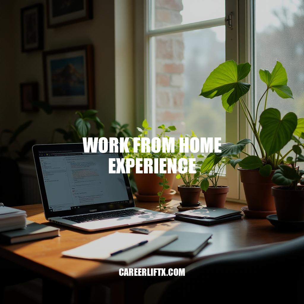 Maximizing Work From Home Experience